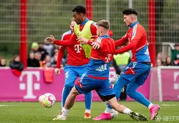 九游体育官网-绝杀慕尼黑观后感800字